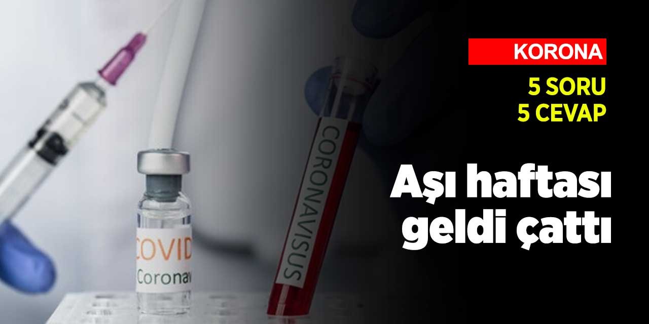 Türkiye'de koronavirüs aşısı haftasına girildi