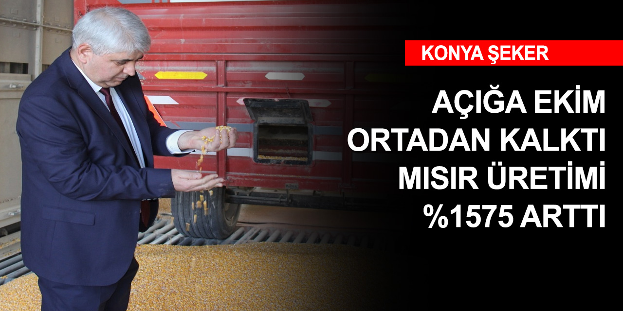 Konya Şeker mısırda piyasayı dengeledi! Üretim yüzde 1575 arttı