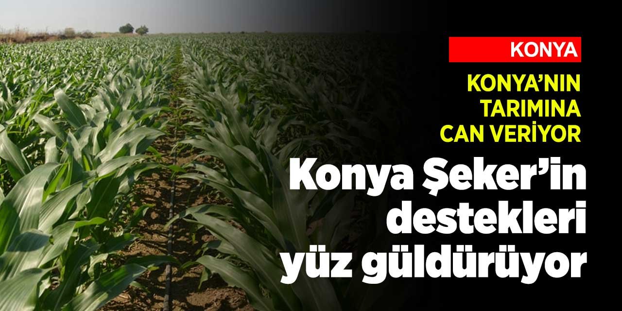 Konya Şeker destekliyor üretim artıyor! İşte son rakamlar