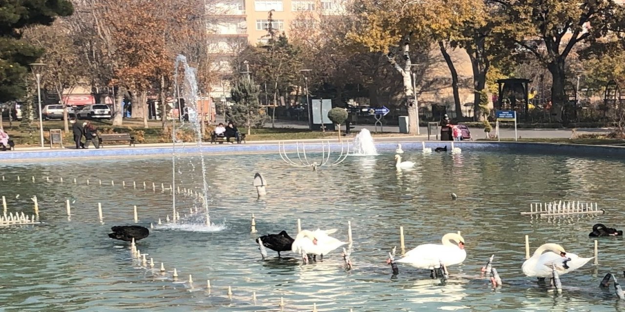 Konya Aralık'ta sonbaharı yaşadı