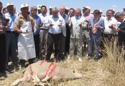 Hasat Bayramı’nda çiftçiye müj