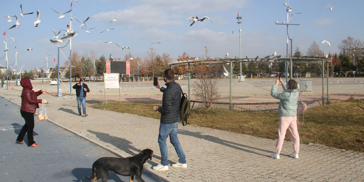 Konya'nın Aşk Adası yabancı turistlere kaldı