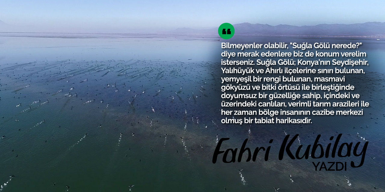 Suğla'nın kuşları yağ balığı
