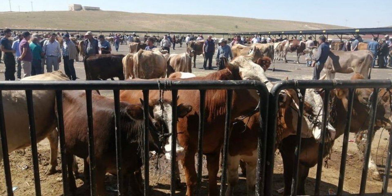Bayburt’ta hayvan pazarlarının faaliyetleri Covid-19 tedbirleri kapsamında durduruldu