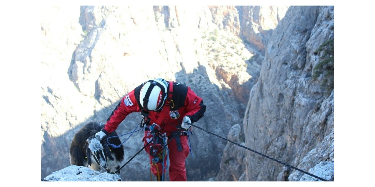 Kayalıklarda mahsur kalan keçi, kurtarıldı
