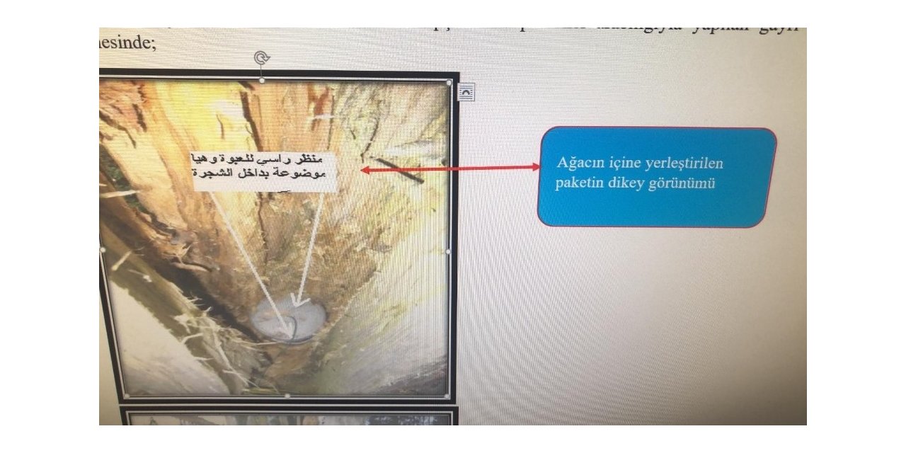 Yılbaşında eylem hazırlığındaki DEAŞ üyesi teröristler yakalandı