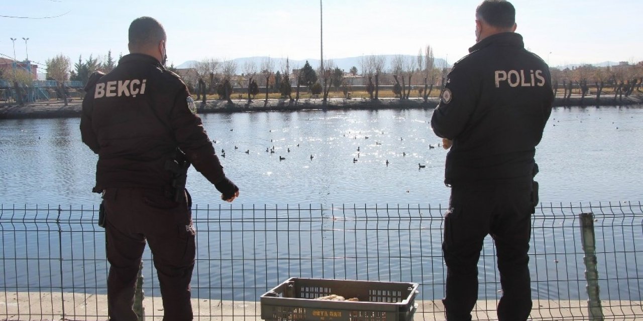 Kızılırmak’ta aç kalan kaz ve ördekleri polisler besledi