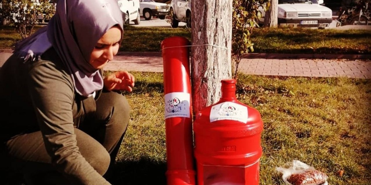 Eski damacanalar kedi yuvası oldu