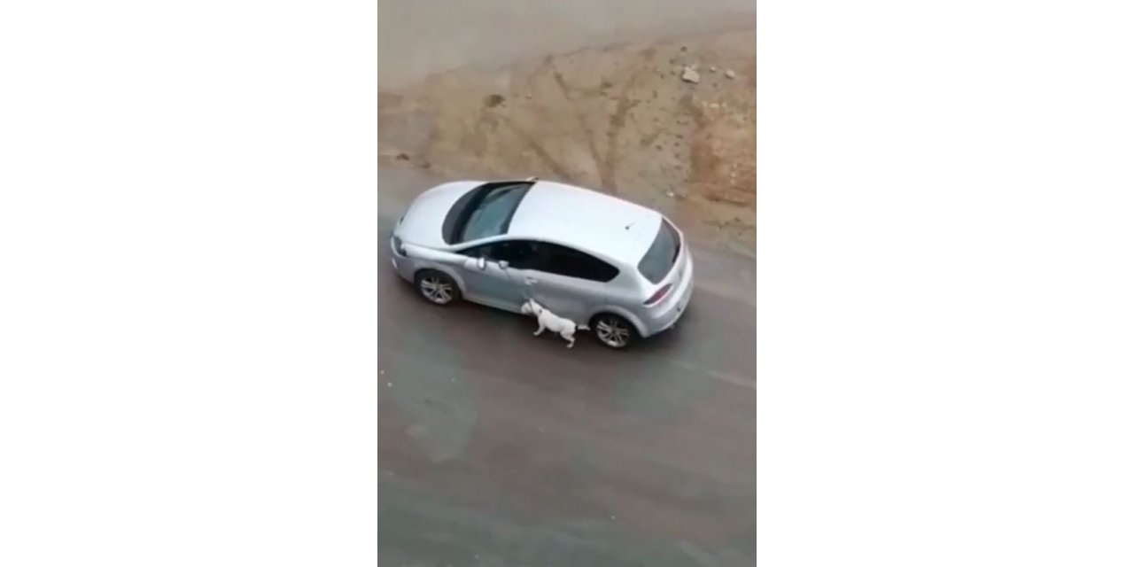 Köpeğini tasmasından tutup otomobilden sürükleyerek gezdirdi