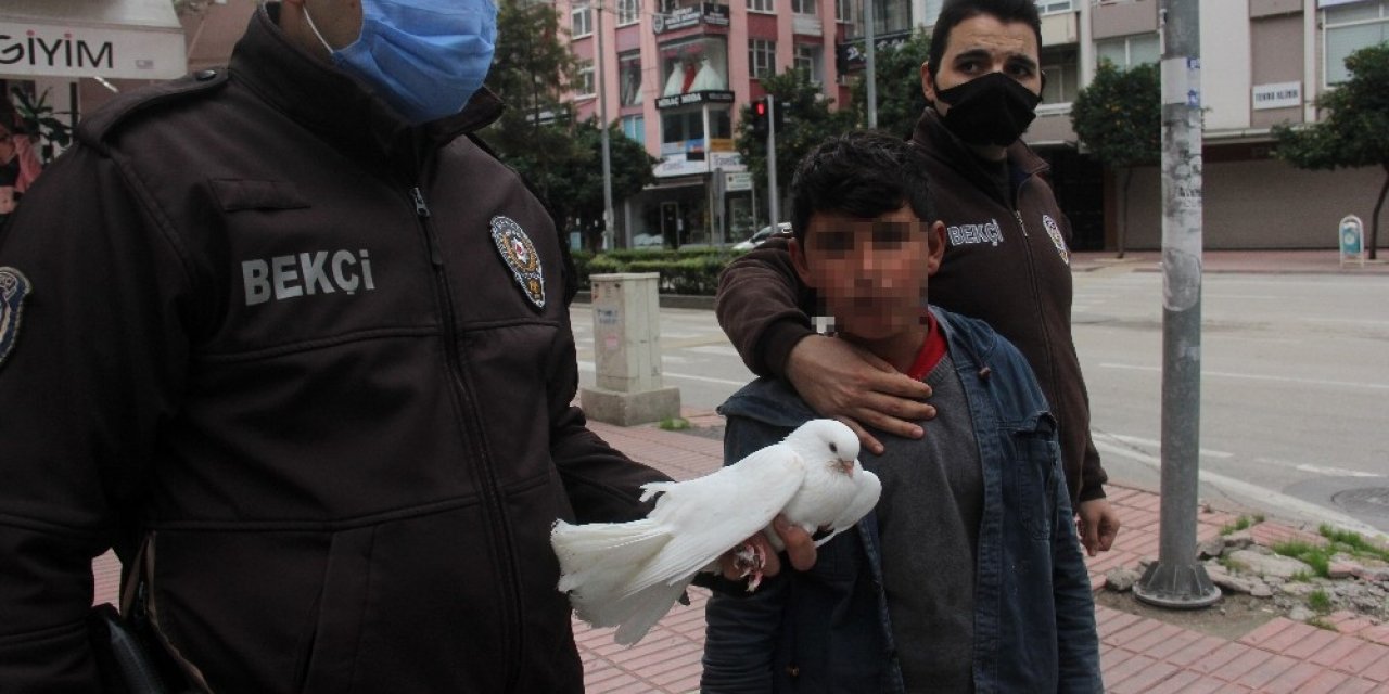 Sokağa çıkma kısıtlamasında güvercinle yakalandı