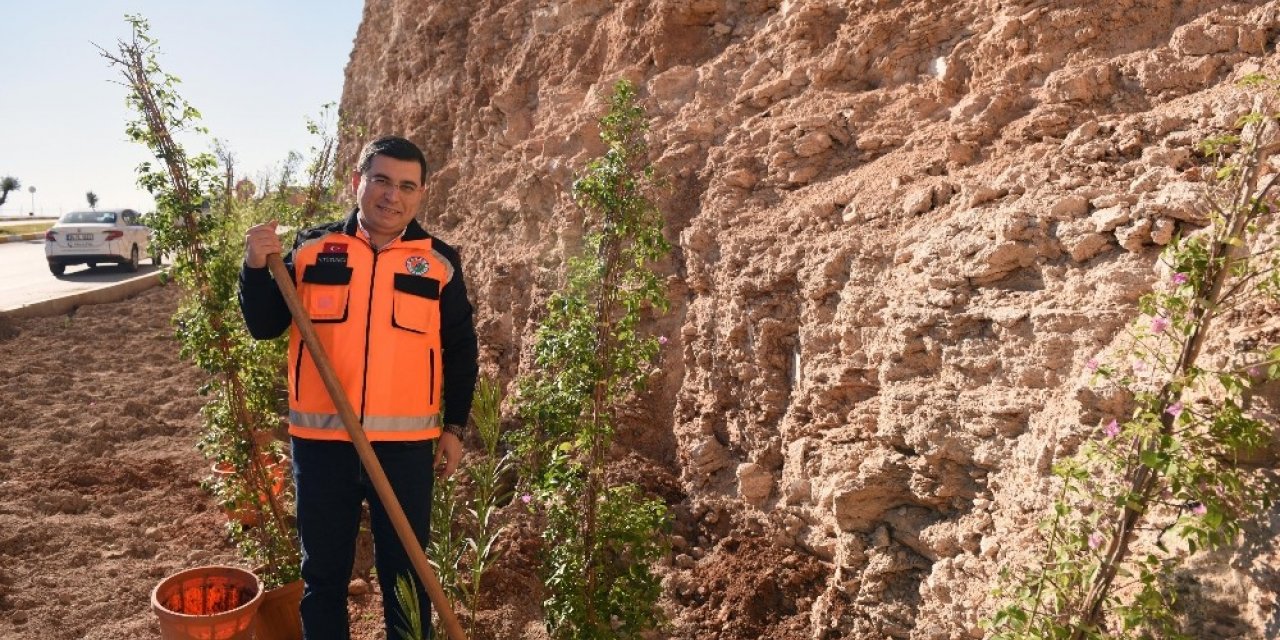 Masa Dağı’na 12 bin adet çiçek