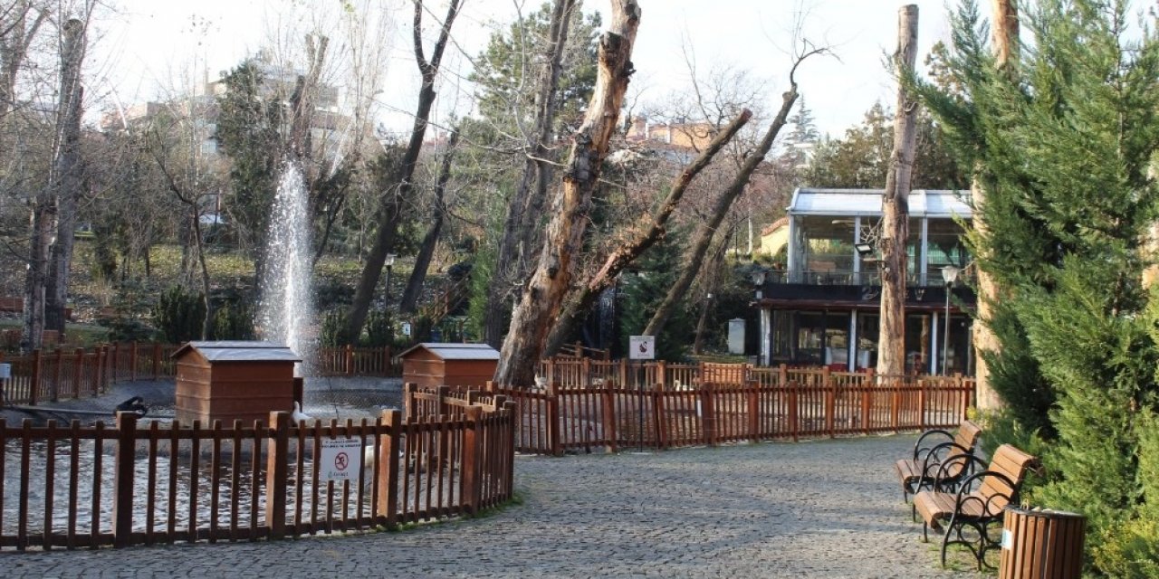 Ankara’da hafta sonu cadde ve sokaklar boş kaldı