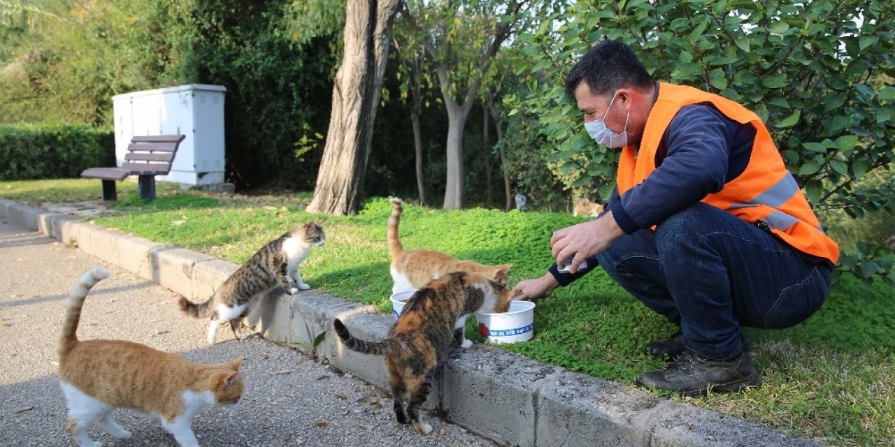 Kısıtlamada sokak hayvanları unutulmadı