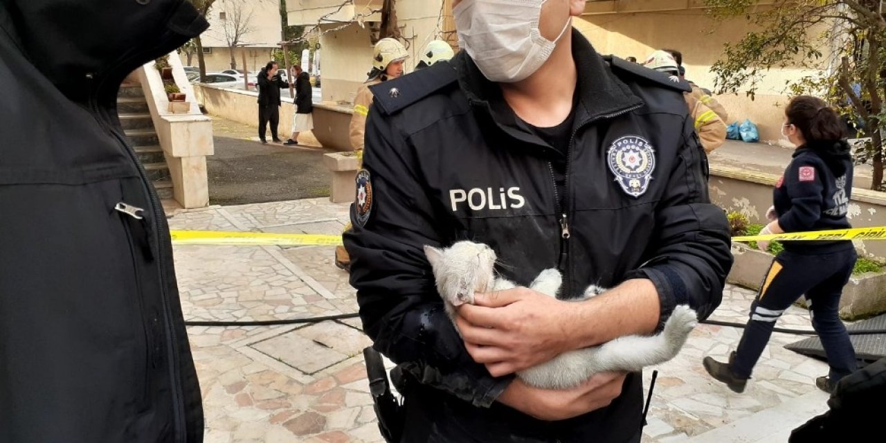 Yangında mahsur kalan yavru kediyi polis memuru kurtardı