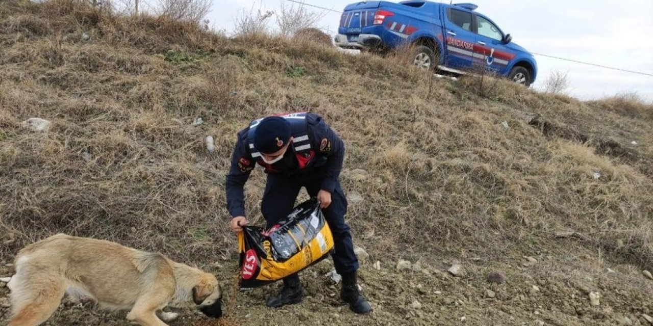 Selendi’de kolluk kuvvetleri sokak hayvanlarını unutmadı