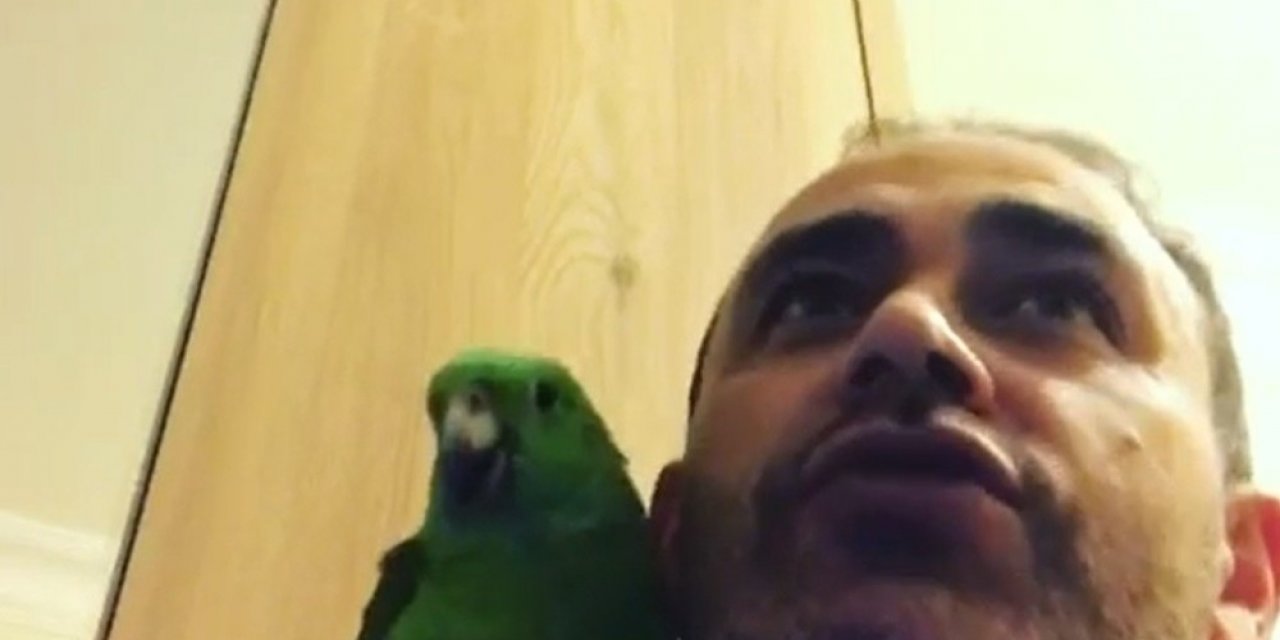 Papağan Melo sosyal medyada fenomen oldu