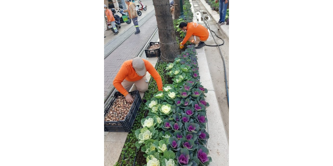 Antalya caddelerine 161 bin adet lale, sümbül, çiğdem soğanı