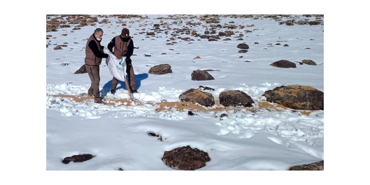 Elazığ’da kaçak avla mücadele ve yaban hayvanlarına yem desteği