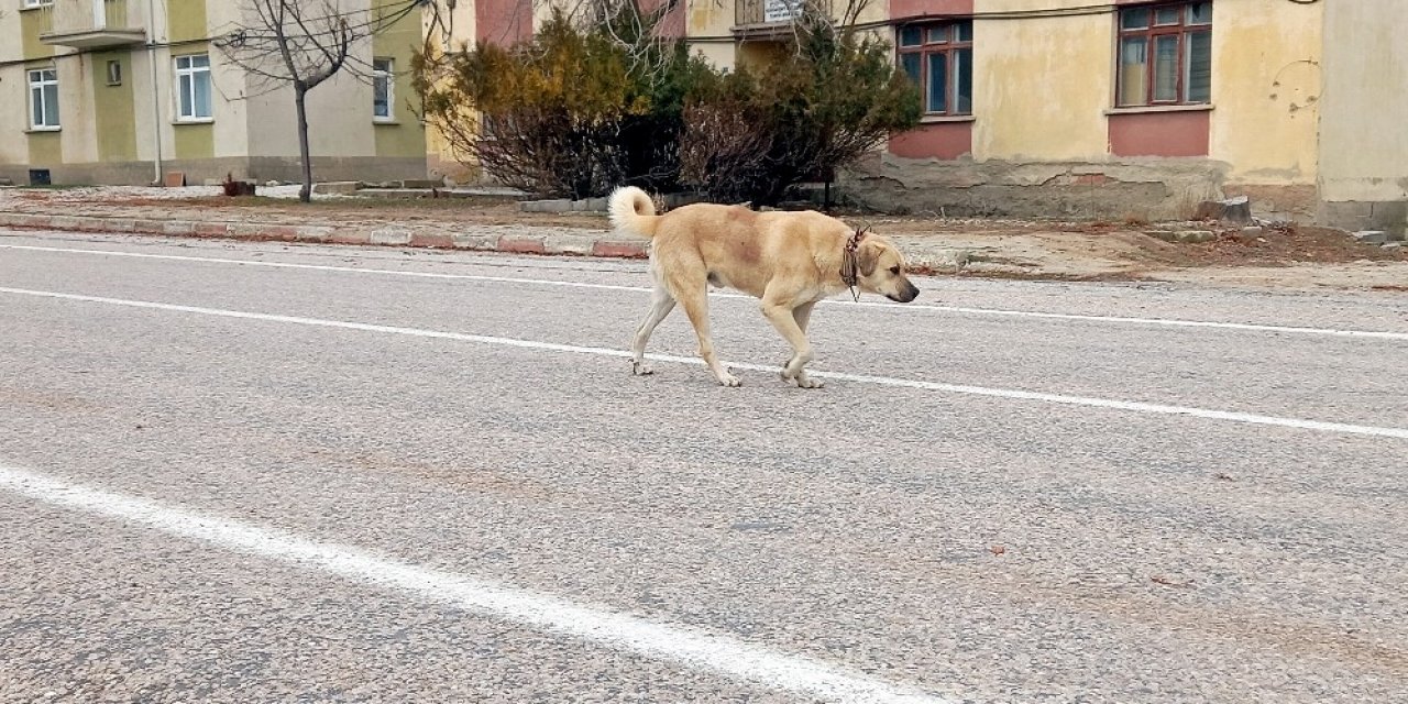 Vefasızlığın böylesi