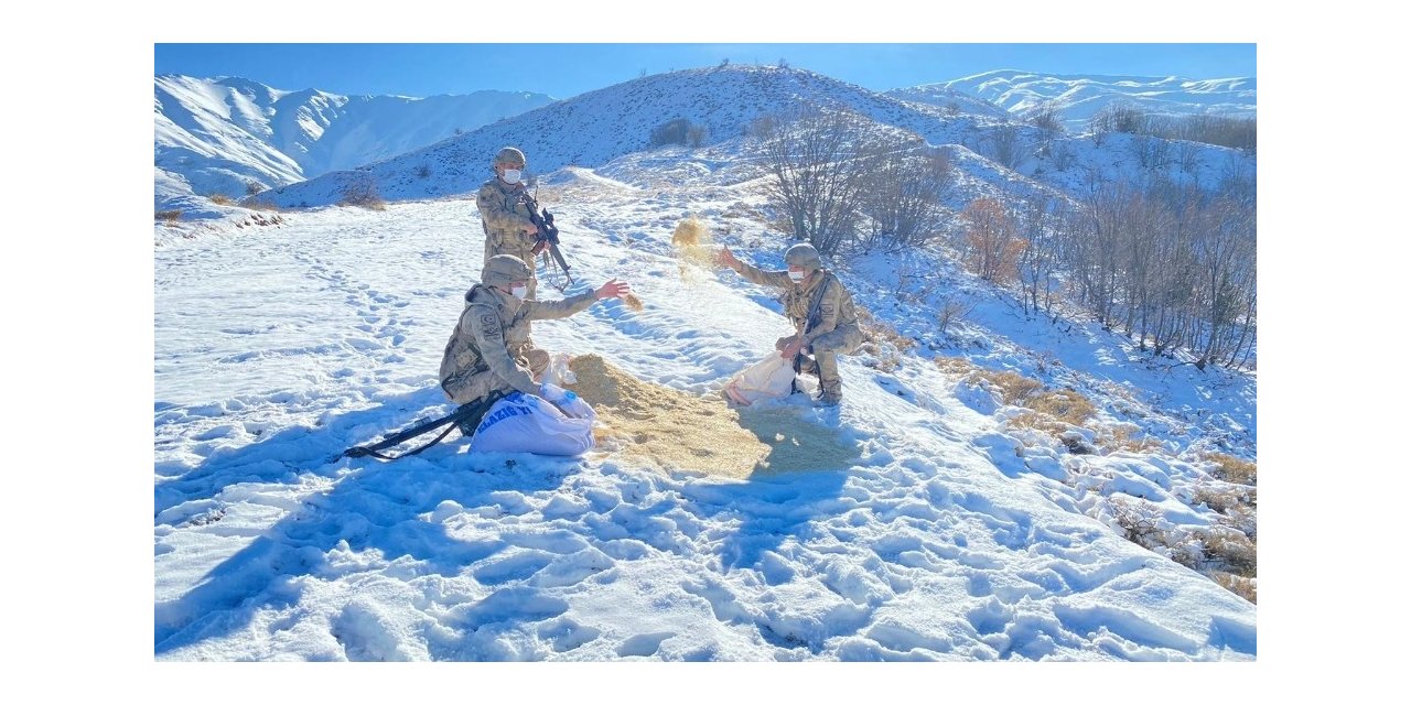 Komandolar, doğaya yem bıraktı