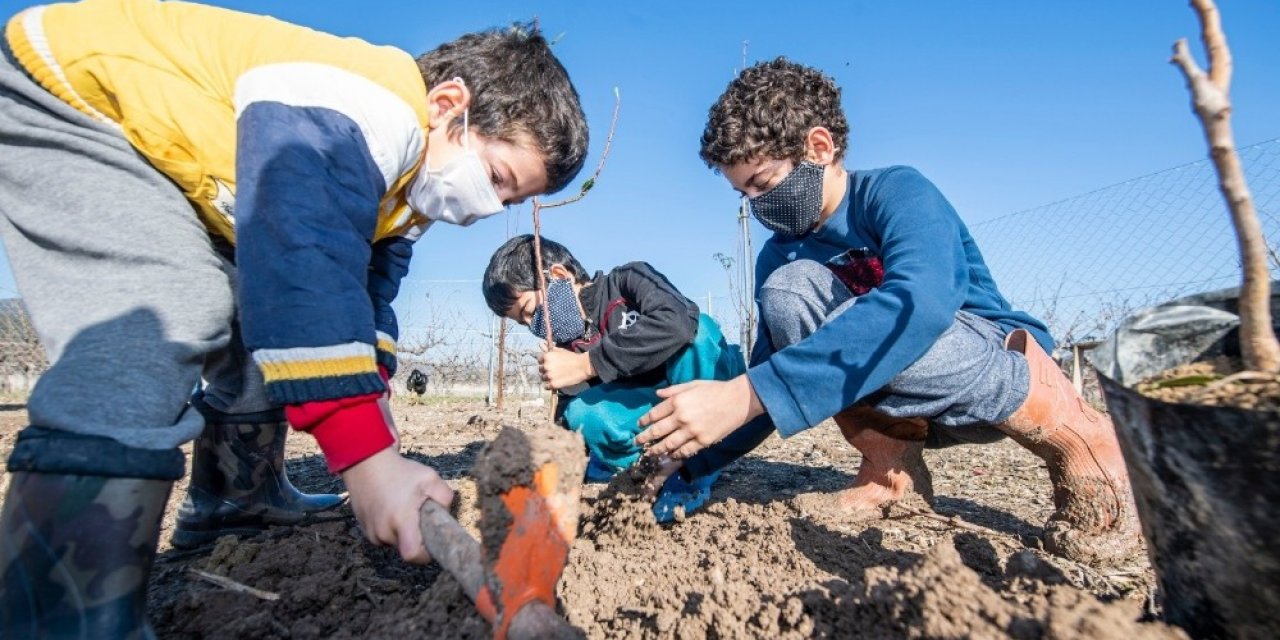 İzmir’de 2020 yılında 363 bin meyve fidanı dağıtıldı