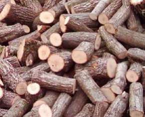 Kemik kusurlarını onardılar!