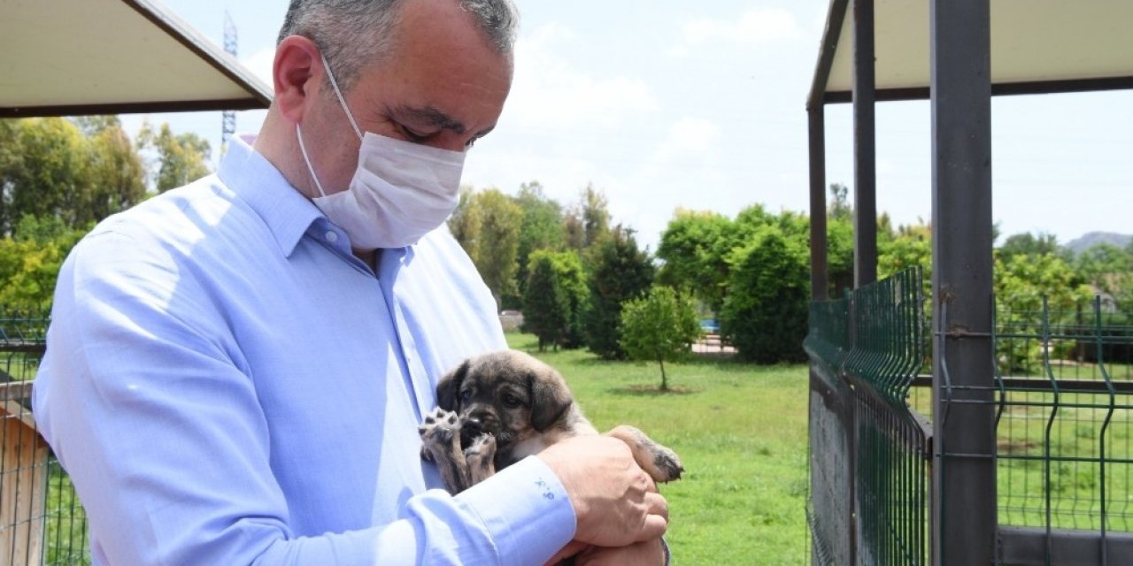 Başkan Esen:  “Minik dostlarımızı yalnız bırakmadık”