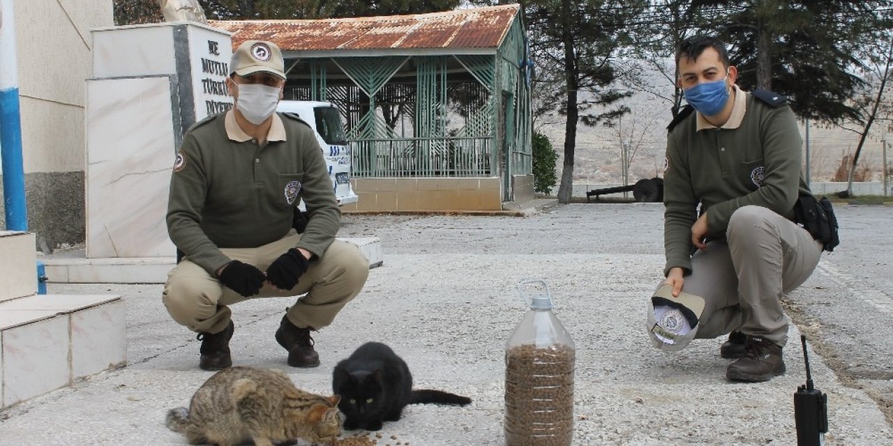 HAYDİ polisleri sokak hayvanlarını unutmadı
