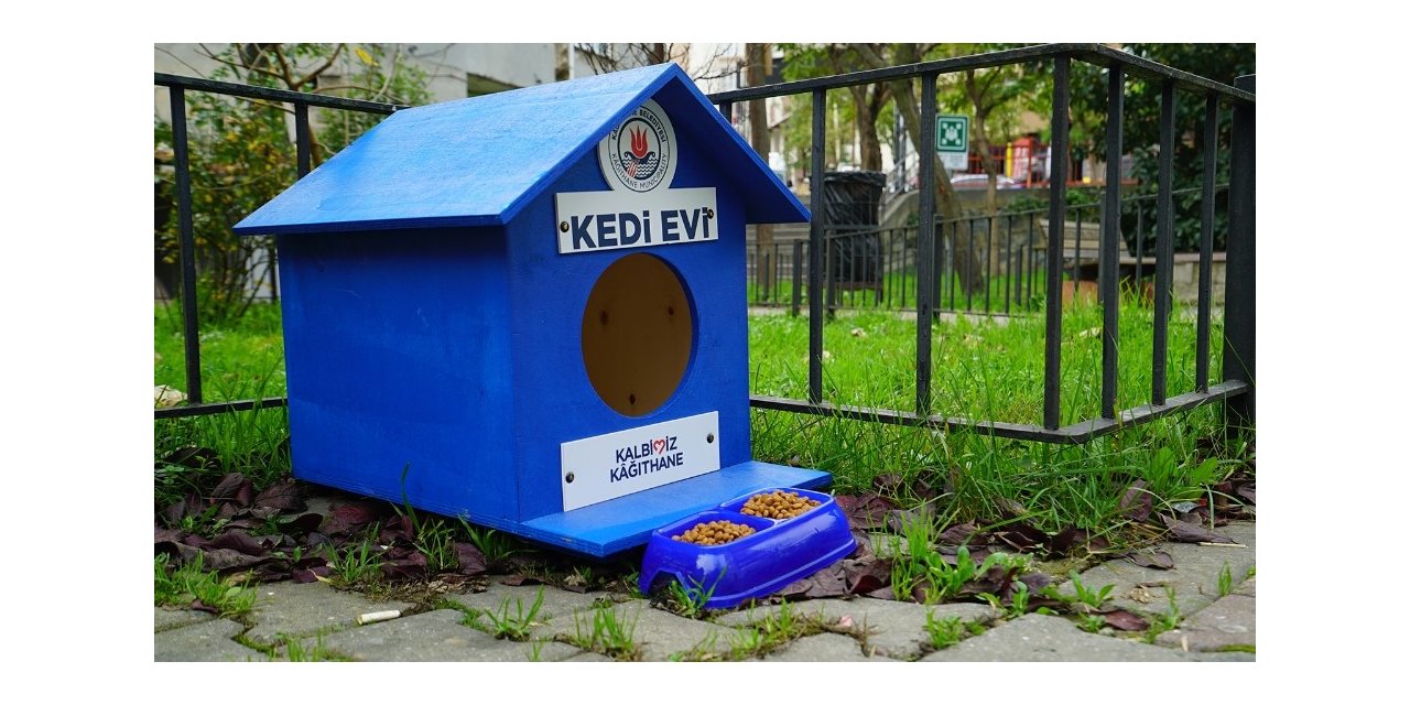 Kağıthane’de sokak hayvanları unutulmuyor