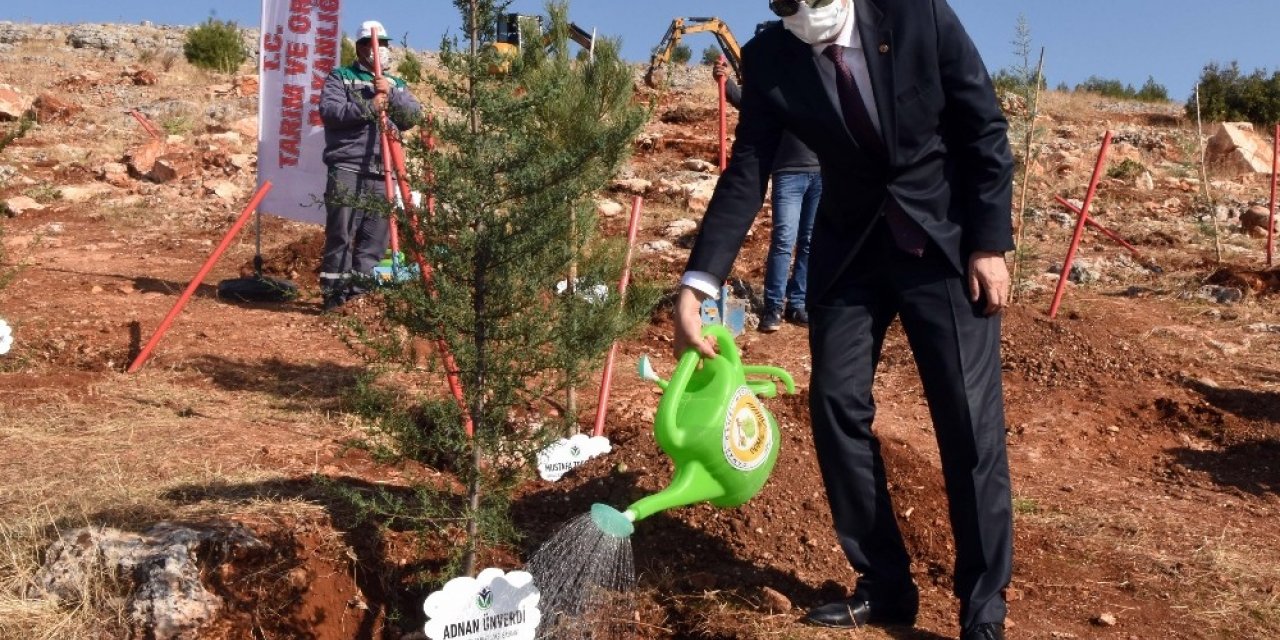 GSO’nun yılbaşı hediyesi GAGİAD ormanına fidan bağışı