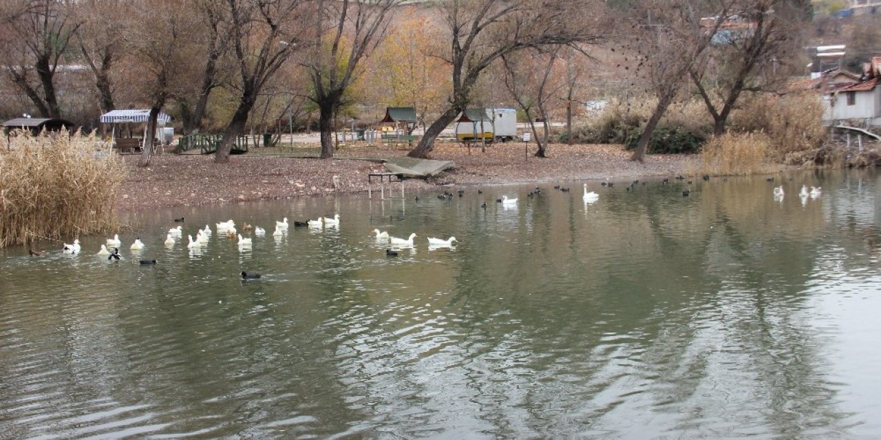 Gölbaşı gölleri kendisine hayran bırakıyor