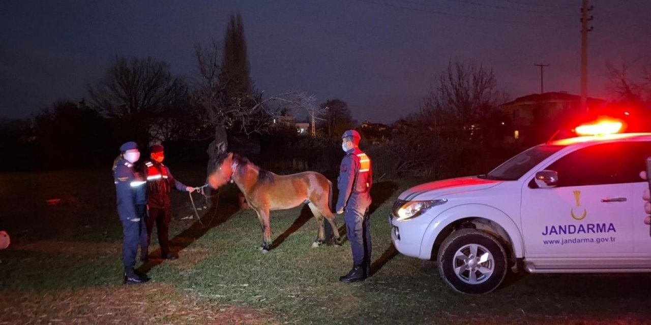 Çanakkale'de olay görüntülerdeki at sahibi gözaltına alındı
