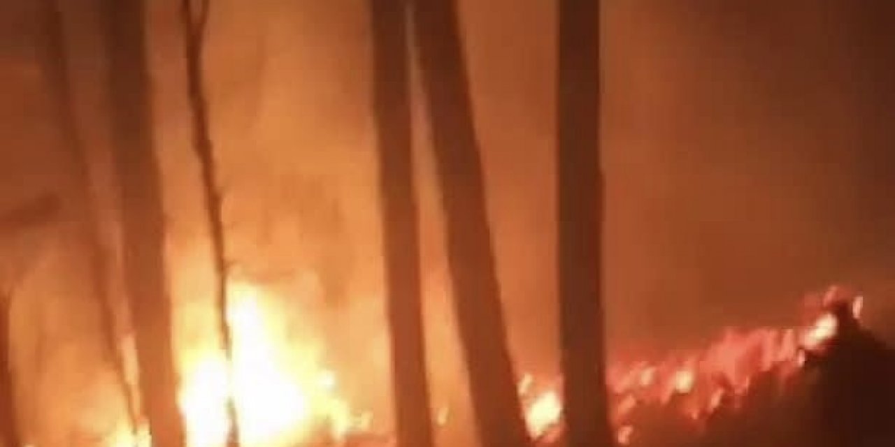 Düzce'deki orman yangınını köylüler söndürdü