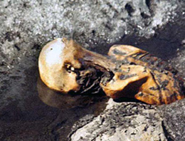 Lanetli mumyanın şifresi çözüldü