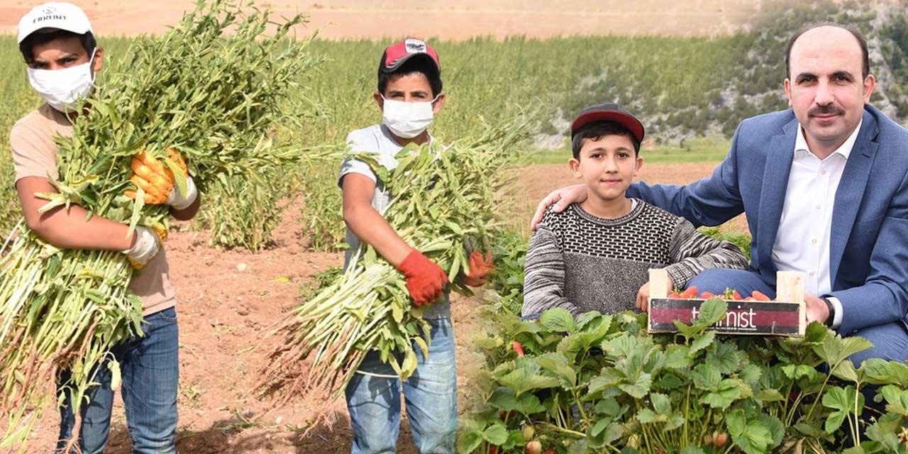 Başkan Altay'ın ana gündemi tarım! Tek tek rakamları açıkladı