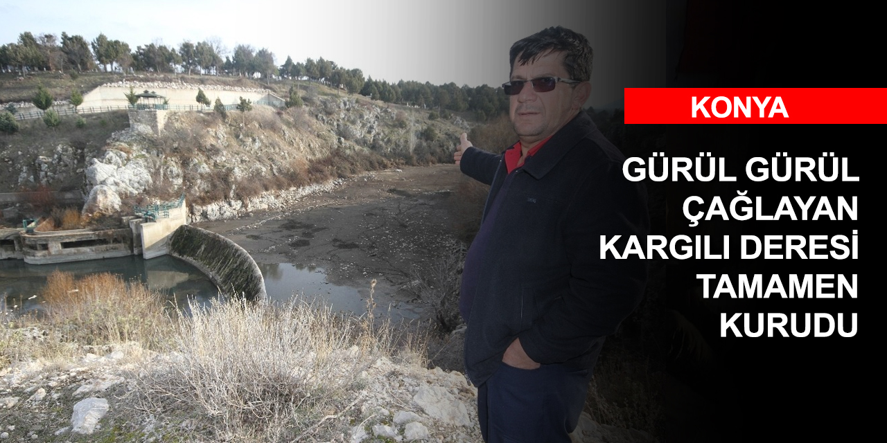 Konya'da kuraklık bağıra bağıra geliyor! Beyşehir Gölü su kaynakları da tamamen kurudu