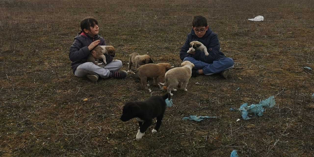 Konya'nın adam olacak çocukları! Yavrulara sahip çıktılar