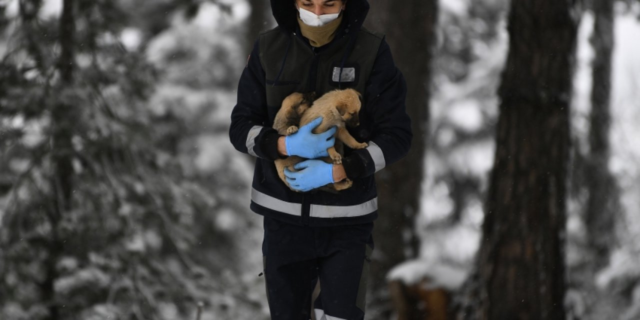 Uludağ'ın kahramanları! Yavru köpekleri donmadan kurtardılar