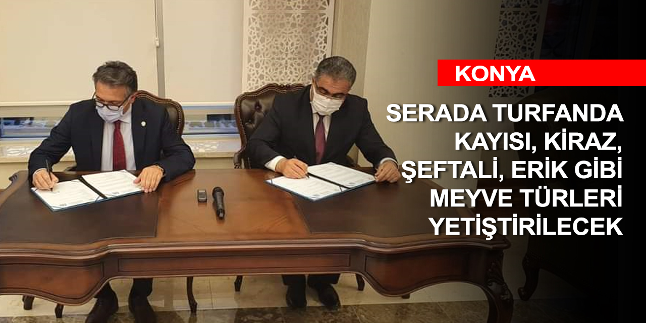 Konya'da örnek işbirliği! Kaplıca suları 'turfanda meyve' için kullanılacak