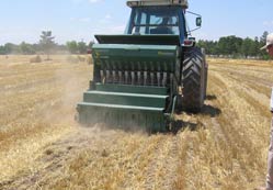 Anızlı toprağa ekim