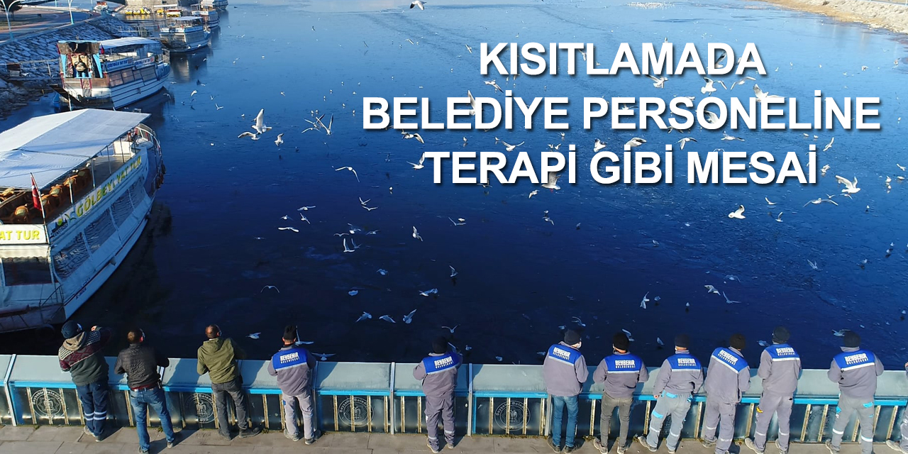 Konya'da buz tutan gölde kuşlar ekmekle beslendi