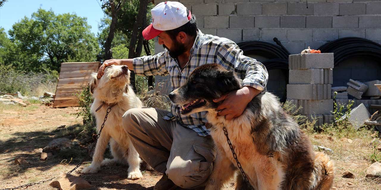 Konya Büyükşehir ödemelere devam ediyor! Beşyıldızlı tesisten sıcak yuvalara