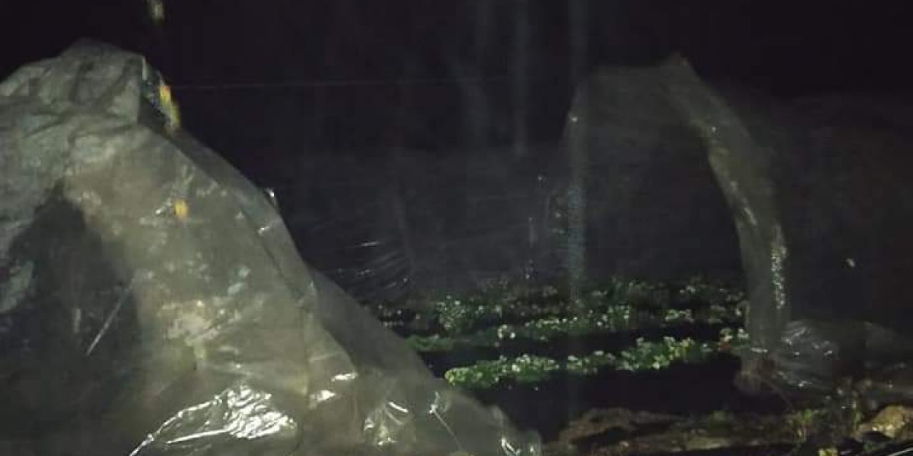 Anamur'da şiddetli yağış nedeniyle muz seraları zarar gördü