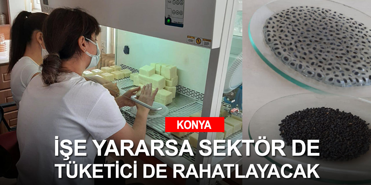 Konya'da bir bilimsel çalışma daha! Fesleğen tohumu gıdadaki o soruna çözüm olabilecek mi?