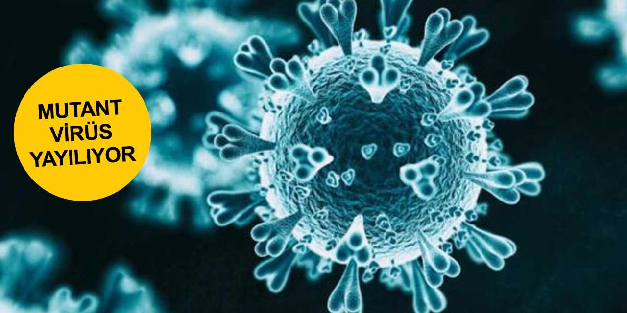Konya'da bir ilçede daha mutant koronavirüse rastlandı