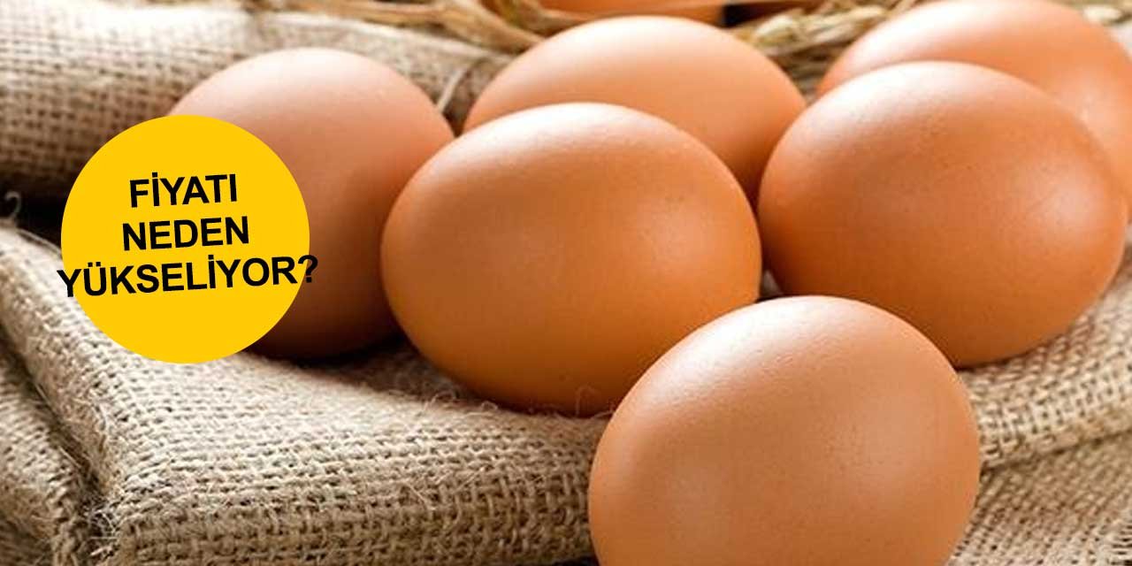 Fiyatı en çok artanlar arasına adını yazdıran tavuk yumurtasında son gelişmeler