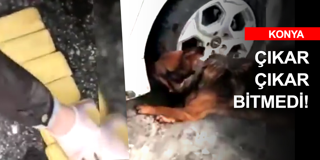 Konya'da otomobil kapılarına gizlenmiş kilolarca eroini dedektör köpeği buldu