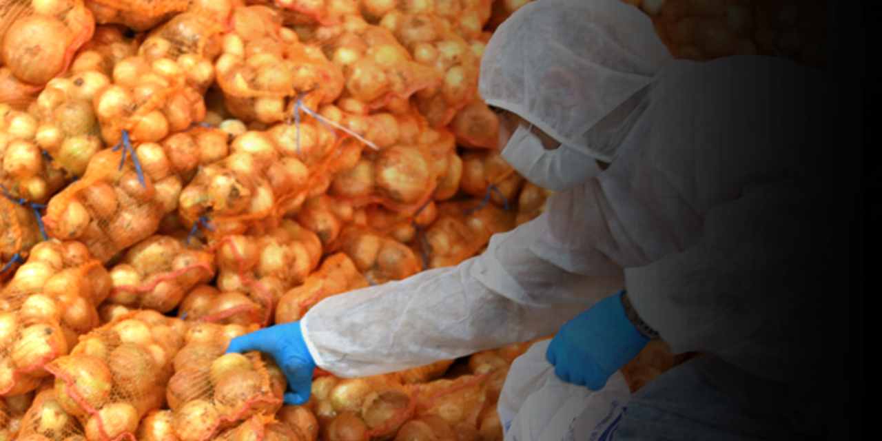 Salgın kuru soğan ve patates tüketicisine yaradı! Üretim arttı ihracat azaldı