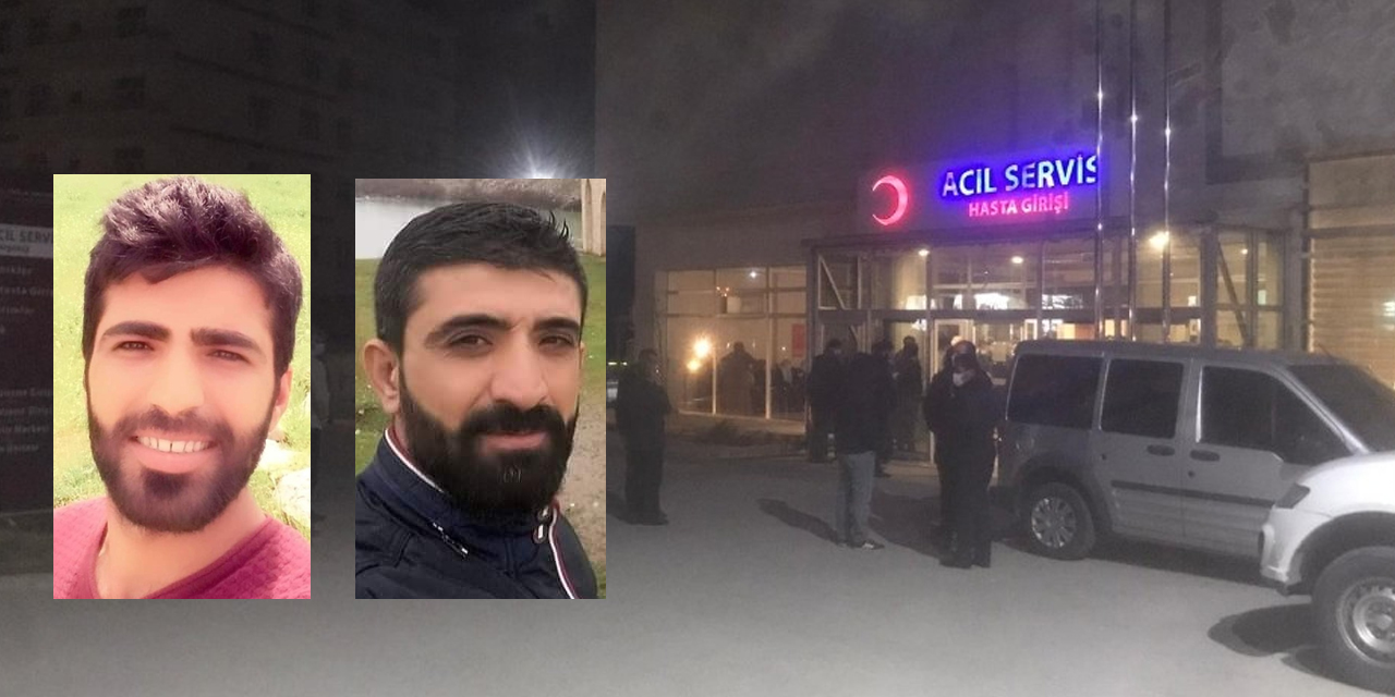 Otomobilin çarptığı 2 kardeş hayata tutunamadı