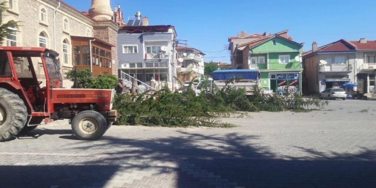GES için cami bahçesindeki ağaçları bile kestiler! Vatandaş isyan etti
